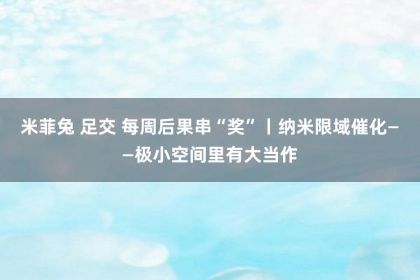 米菲兔 足交 每周后果串“奖”丨纳米限域催化——极小空间里有大当作