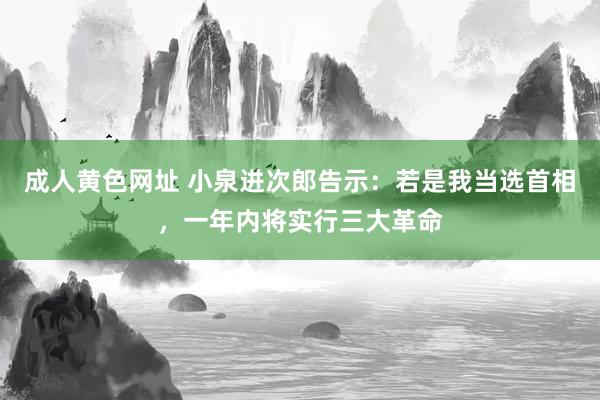 成人黄色网址 小泉进次郎告示：若是我当选首相，一年内将实行三大革命