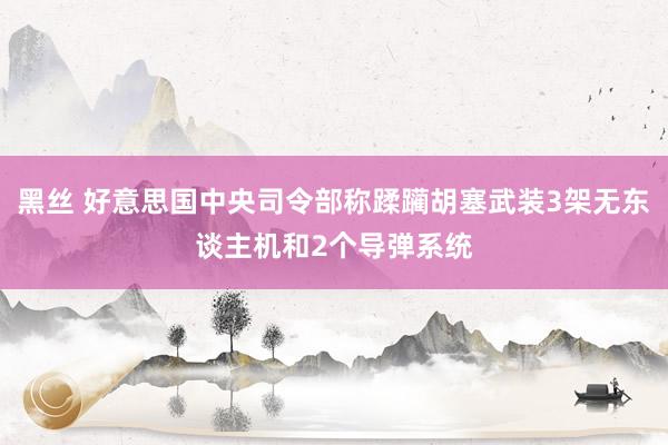 黑丝 好意思国中央司令部称蹂躏胡塞武装3架无东谈主机和2个导弹系统