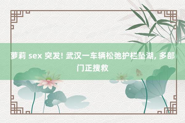 萝莉 sex 突发! 武汉一车辆松弛护栏坠湖， 多部门正搜救