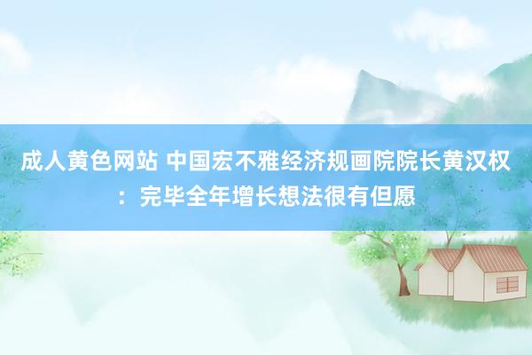 成人黄色网站 中国宏不雅经济规画院院长黄汉权：完毕全年增长想法很有但愿