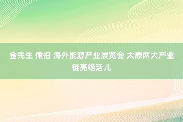 金先生 偷拍 海外能源产业展览会 太原两大产业链亮绝活儿