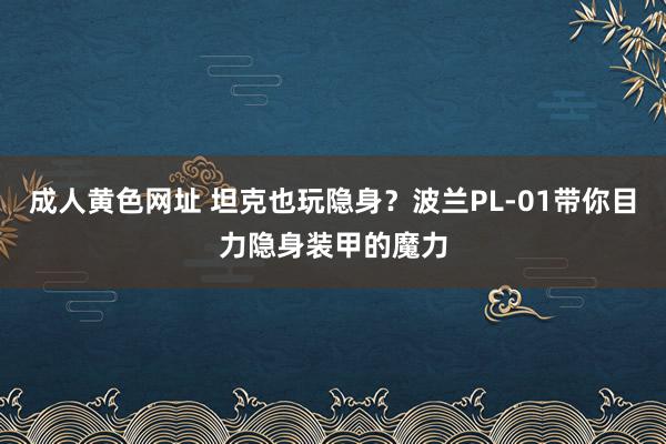 成人黄色网址 坦克也玩隐身？波兰PL-01带你目力隐身装甲的魔力