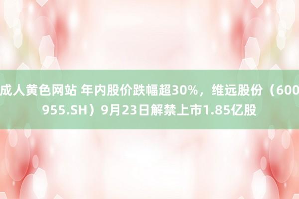 成人黄色网站 年内股价跌幅超30%，维远股份（600955.SH）9月23日解禁上市1.85亿股