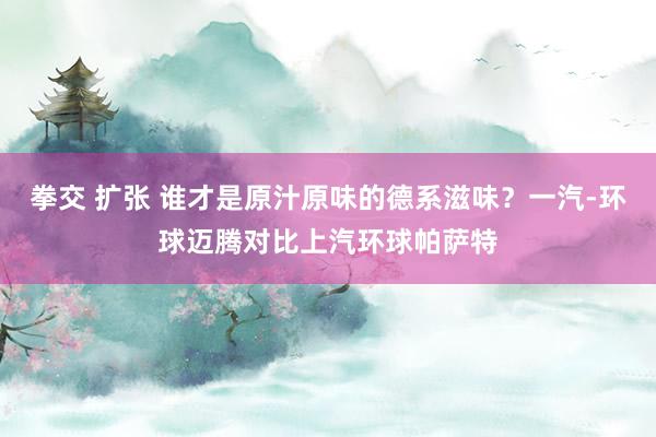 拳交 扩张 谁才是原汁原味的德系滋味？一汽-环球迈腾对比上汽环球帕萨特