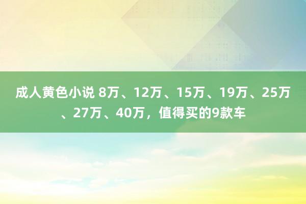 成人黄色小说 8万、12万、15万、19万、25万、27万、40万，值得买的9款车