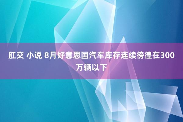 肛交 小说 8月好意思国汽车库存连续徬徨在300万辆以下