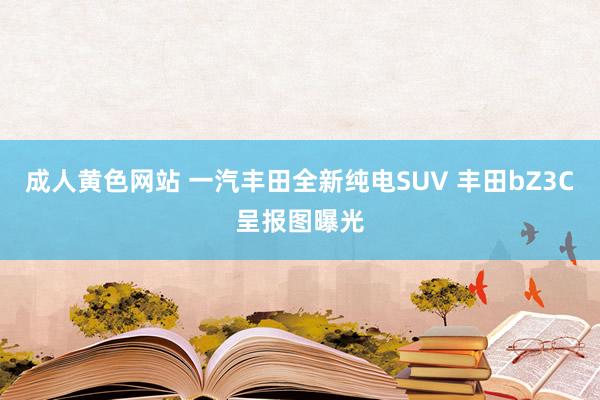 成人黄色网站 一汽丰田全新纯电SUV 丰田bZ3C呈报图曝光