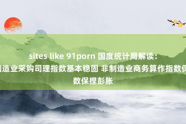 sites like 91porn 国度统计局解读：7月份制造业采购司理指数基本稳固 非制造业商务算作指数保捏彭胀