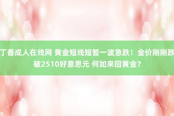 丁香成人在线网 黄金短线短暂一波急跌！金价刚刚跌破2510好意思元 何如来回黄金？