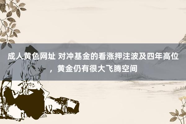 成人黄色网址 对冲基金的看涨押注波及四年高位，黄金仍有很大飞腾空间