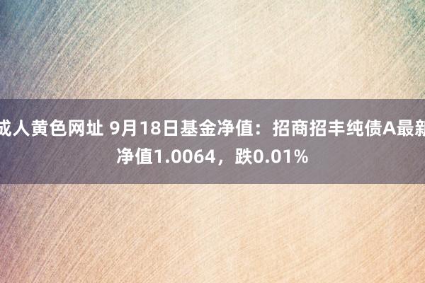 成人黄色网址 9月18日基金净值：招商招丰纯债A最新净值1.0064，跌0.01%