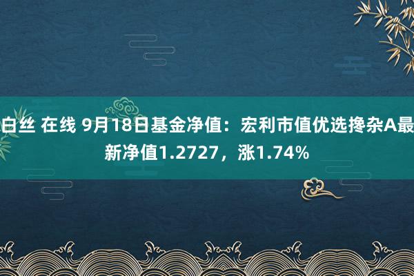 白丝 在线 9月18日基金净值：宏利市值优选搀杂A最新净值1.2727，涨1.74%