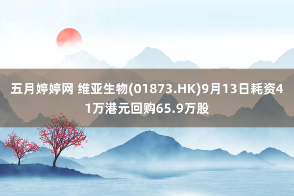 五月婷婷网 维亚生物(01873.HK)9月13日耗资41万港元回购65.9万股