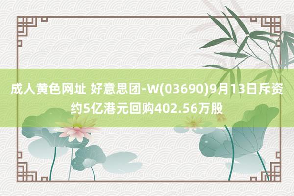 成人黄色网址 好意思团-W(03690)9月13日斥资约5亿港元回购402.56万股