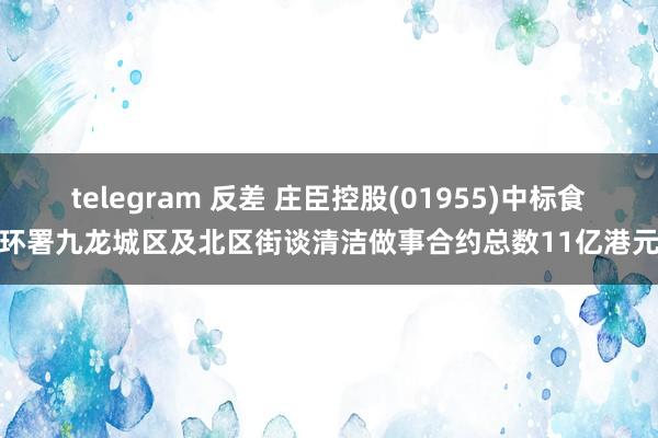 telegram 反差 庄臣控股(01955)中标食环署九龙城区及北区街谈清洁做事合约总数11亿港元