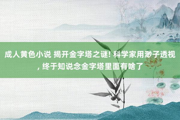 成人黄色小说 揭开金字塔之谜! 科学家用渺子透视， 终于知说念金字塔里面有啥了