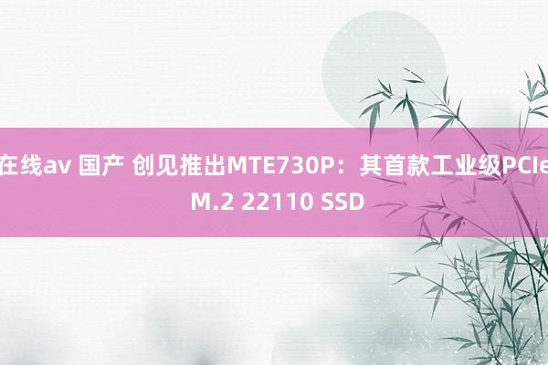 在线av 国产 创见推出MTE730P：其首款工业级PCIe M.2 22110 SSD