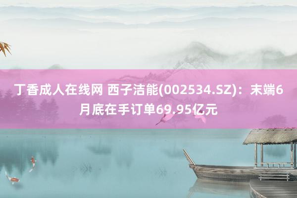 丁香成人在线网 西子洁能(002534.SZ)：末端6月底在手订单69.95亿元