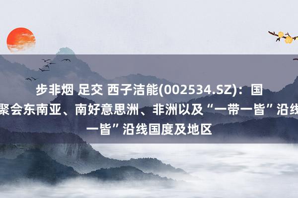 步非烟 足交 西子洁能(002534.SZ)：国外市集主要聚会东南亚、南好意思洲、非洲以及“一带一皆”沿线国度及地区