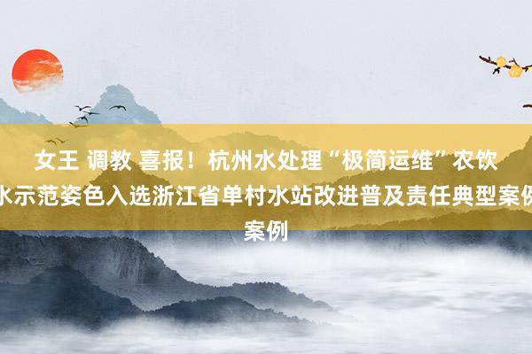 女王 调教 喜报！杭州水处理“极简运维”农饮水示范姿色入选浙江省单村水站改进普及责任典型案例