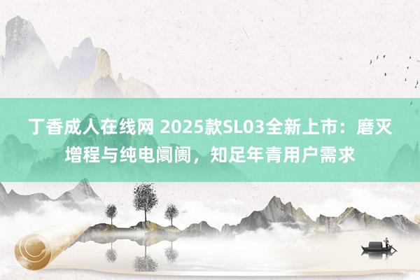 丁香成人在线网 2025款SL03全新上市：磨灭增程与纯电阛阓，知足年青用户需求