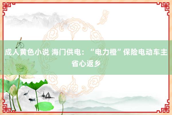 成人黄色小说 海门供电：“电力橙”保险电动车主省心返乡