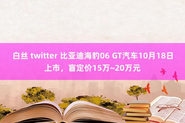 白丝 twitter 比亚迪海豹06 GT汽车10月18日上市，盲定价15万~20万元