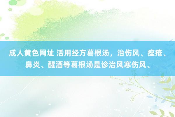 成人黄色网址 活用经方葛根汤，治伤风、痤疮、鼻炎、醒酒等葛根汤是诊治风寒伤风、