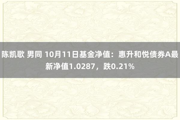 陈凯歌 男同 10月11日基金净值：惠升和悦债券A最新净值1.0287，跌0.21%