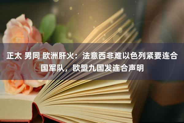 正太 男同 欧洲肝火：法意西非难以色列紧要连合国军队，欧盟九国发连合声明