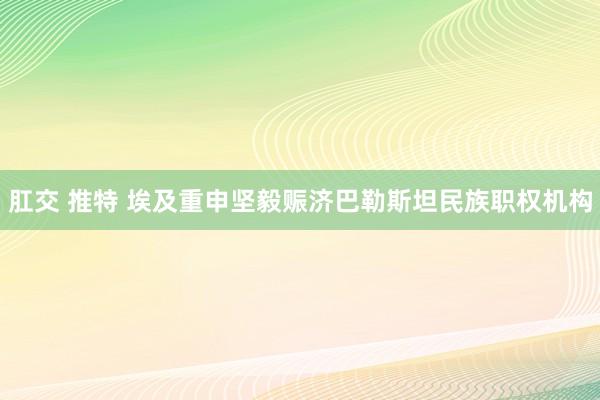 肛交 推特 埃及重申坚毅赈济巴勒斯坦民族职权机构