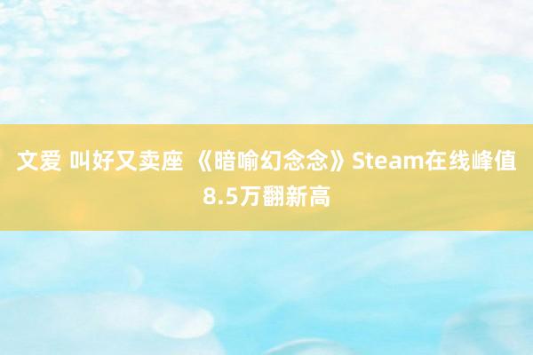 文爱 叫好又卖座 《暗喻幻念念》Steam在线峰值8.5万翻新高