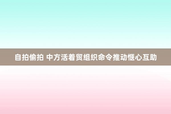 自拍偷拍 中方活着贸组织命令推动惬心互助