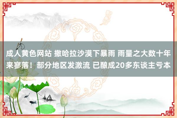 成人黄色网站 撒哈拉沙漠下暴雨 雨量之大数十年来寥落！部分地区发激流 已酿成20多东谈主亏本