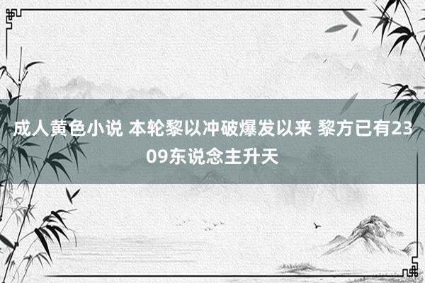 成人黄色小说 本轮黎以冲破爆发以来 黎方已有2309东说念主升天