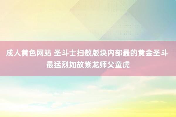 成人黄色网站 圣斗士扫数版块内部最的黄金圣斗 最猛烈如故紫龙师父童虎