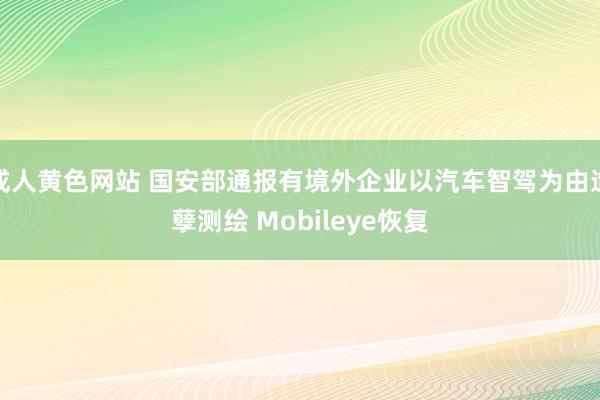 成人黄色网站 国安部通报有境外企业以汽车智驾为由造孽测绘 Mobileye恢复