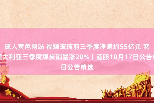 成人黄色网站 福耀玻璃前三季度净赚约55亿元 兖煤澳大利亚三季度煤炭销量涨20%｜港股10月17日公告精选