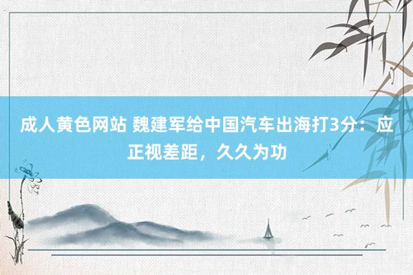 成人黄色网站 魏建军给中国汽车出海打3分：应正视差距，久久为功