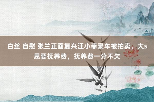 白丝 自慰 张兰正面复兴汪小菲豪车被拍卖，大s思要抚养费，抚养费一分不欠