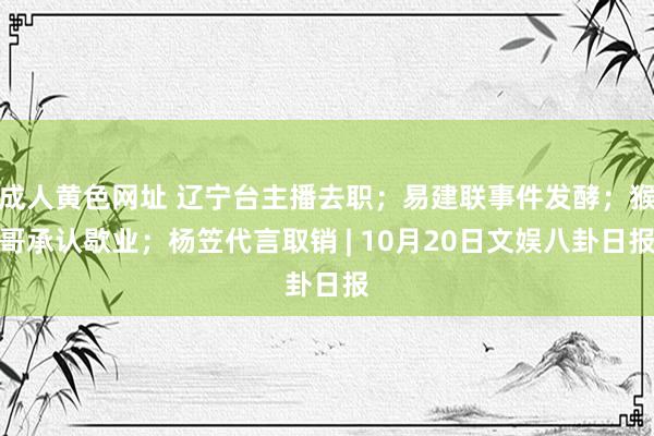 成人黄色网址 辽宁台主播去职；易建联事件发酵；猴哥承认歇业；杨笠代言取销 | 10月20日文娱八卦日报