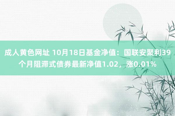 成人黄色网址 10月18日基金净值：国联安聚利39个月阻滞式债券最新净值1.02，涨0.01%