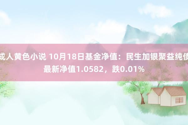 成人黄色小说 10月18日基金净值：民生加银聚益纯债最新净值1.0582，跌0.01%