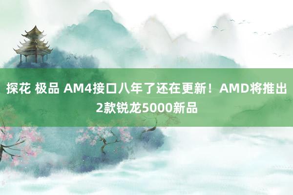 探花 极品 AM4接口八年了还在更新！AMD将推出2款锐龙5000新品