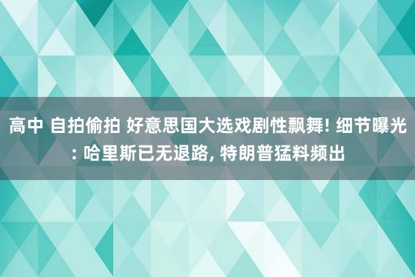 高中 自拍偷拍 好意思国大选戏剧性飘舞! 细节曝光: 哈里斯已无退路， 特朗普猛料频出