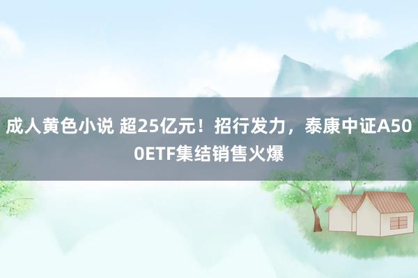 成人黄色小说 超25亿元！招行发力，泰康中证A500ETF集结销售火爆