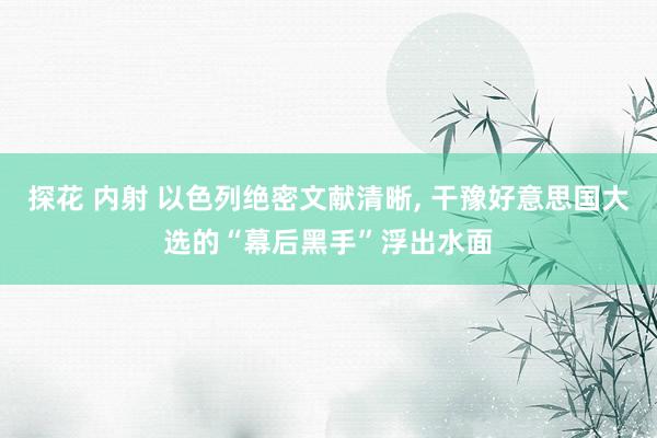 探花 内射 以色列绝密文献清晰， 干豫好意思国大选的“幕后黑手”浮出水面