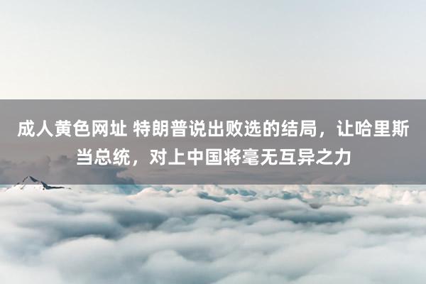 成人黄色网址 特朗普说出败选的结局，让哈里斯当总统，对上中国将毫无互异之力