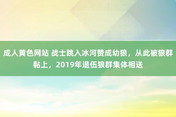 成人黄色网站 战士跳入冰河赞成幼狼，从此被狼群黏上，2019年退伍狼群集体相送